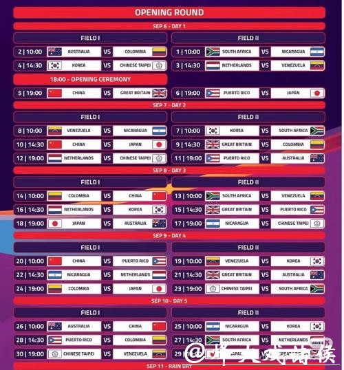 世界杯投注平台：探索多样投注玩法